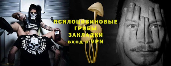 сатива Алексеевка