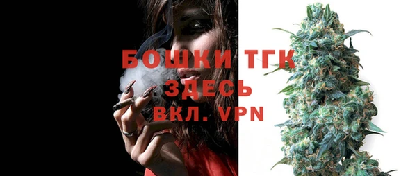 сатива Алексеевка