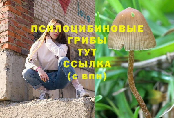 сатива Алексеевка