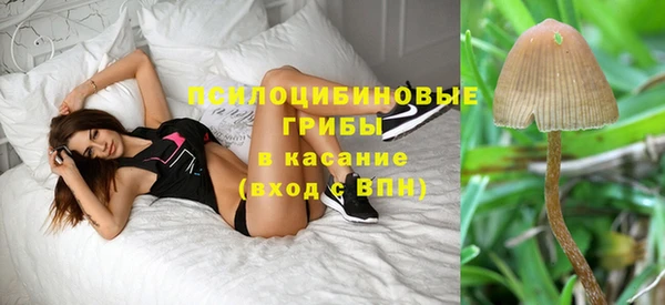 МДПВ Алзамай
